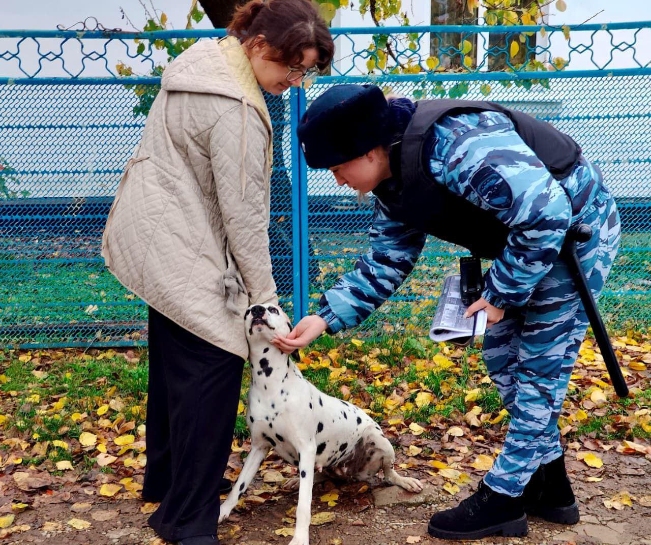 Полицейские вернули далматинца хозяину Полицейские вернули далматинца хозяину