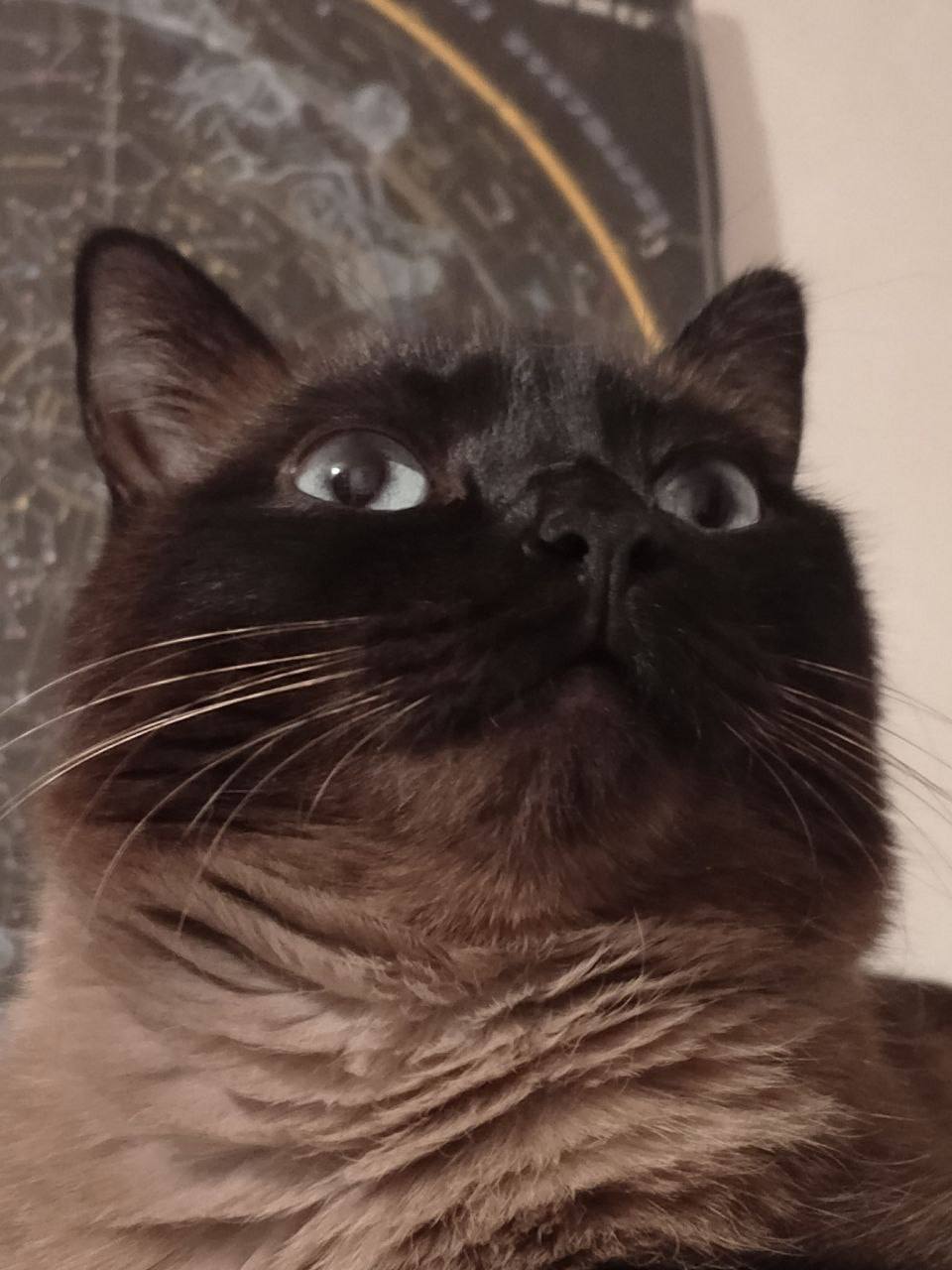 О погоде на 16 ноября. В Краснодарском крае переменная облачность О погоде на 16 ноября. В Краснодарском крае переменная облачность