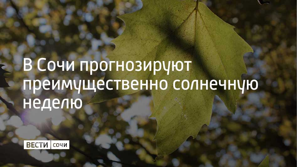 По данным Гидрометцентра России, на курорте с 17 по 22 ноября будет около +20 градусов