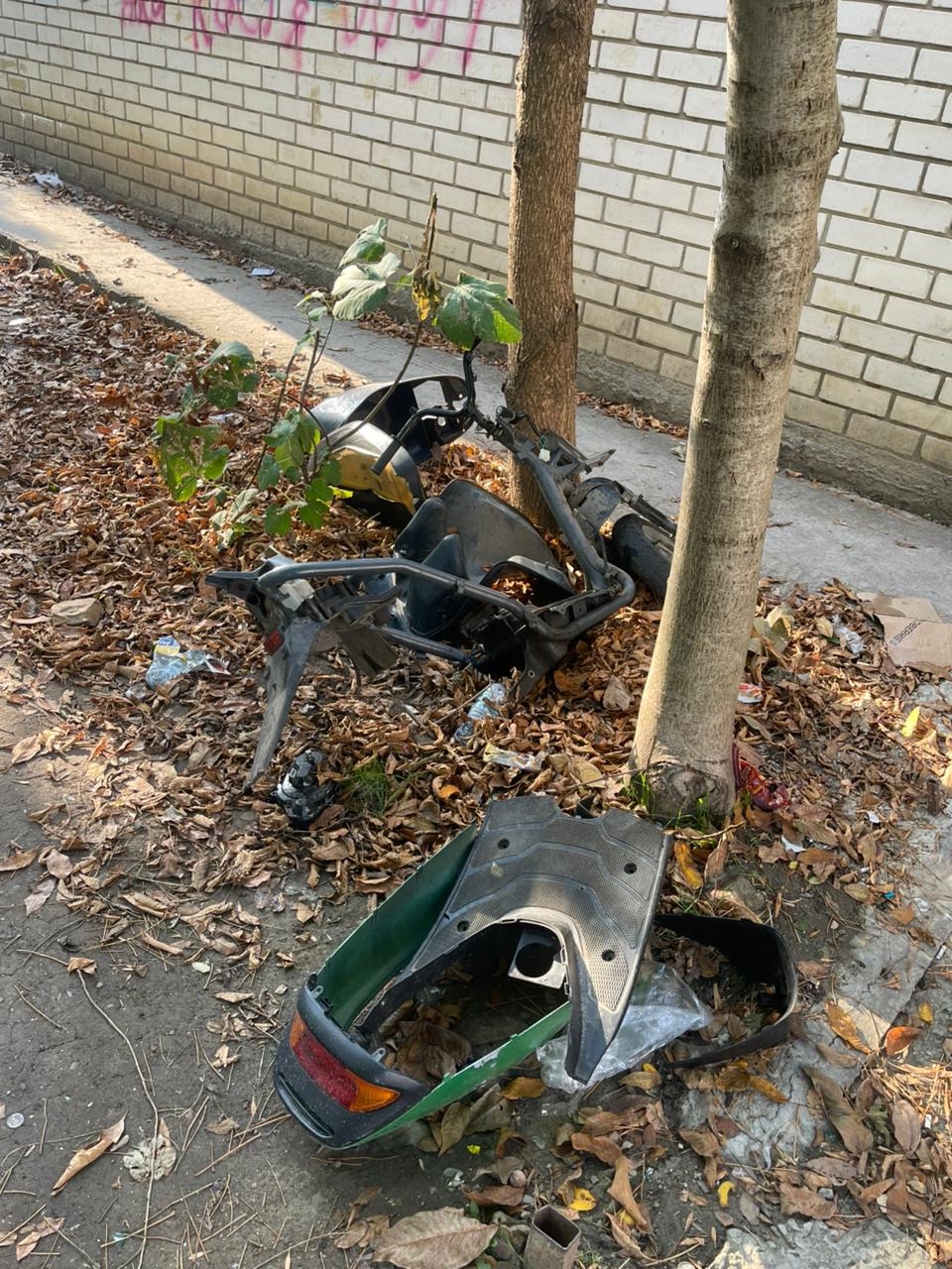 12345. Сотрудники полиции пресекли нарушение Правил дорожного движения несовершеннолетним водителем мопеда В Отдел МВД России по городу Анапе поступили ряд обращений граждан из многоквартирного дома, расположенного на... 12345. Сотрудники полиции пресекли нарушение Правил дорожного движения несовершеннолетним водителем мопеда В Отдел МВД России по городу Анапе поступили ряд обращений граждан из многоквартирного дома, расположенного на...