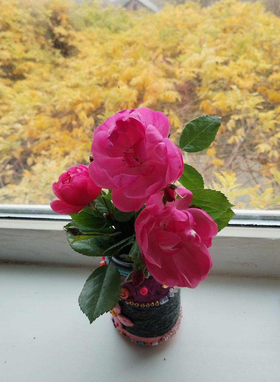 О погоде на 16 ноября. В Краснодарском крае переменная облачность О погоде на 16 ноября. В Краснодарском крае переменная облачность