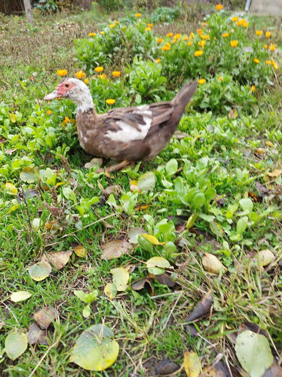 О погоде на 16 ноября. В Краснодарском крае переменная облачность О погоде на 16 ноября. В Краснодарском крае переменная облачность