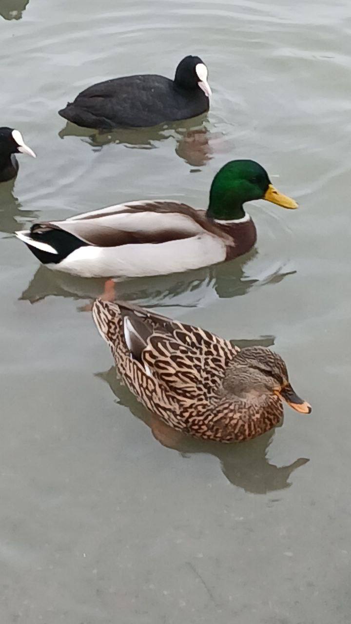 О погоде на 17 ноября. В Краснодарском крае переменная облачность О погоде на 17 ноября. В Краснодарском крае переменная облачность