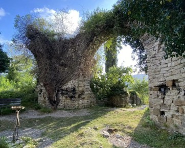 В Сочи разработали новый маршрут для познавательного туризма