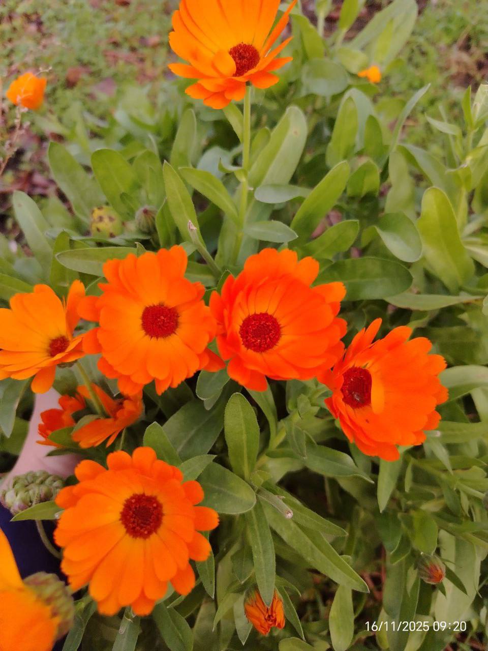 О погоде на 17 ноября. В Краснодарском крае переменная облачность О погоде на 17 ноября. В Краснодарском крае переменная облачность