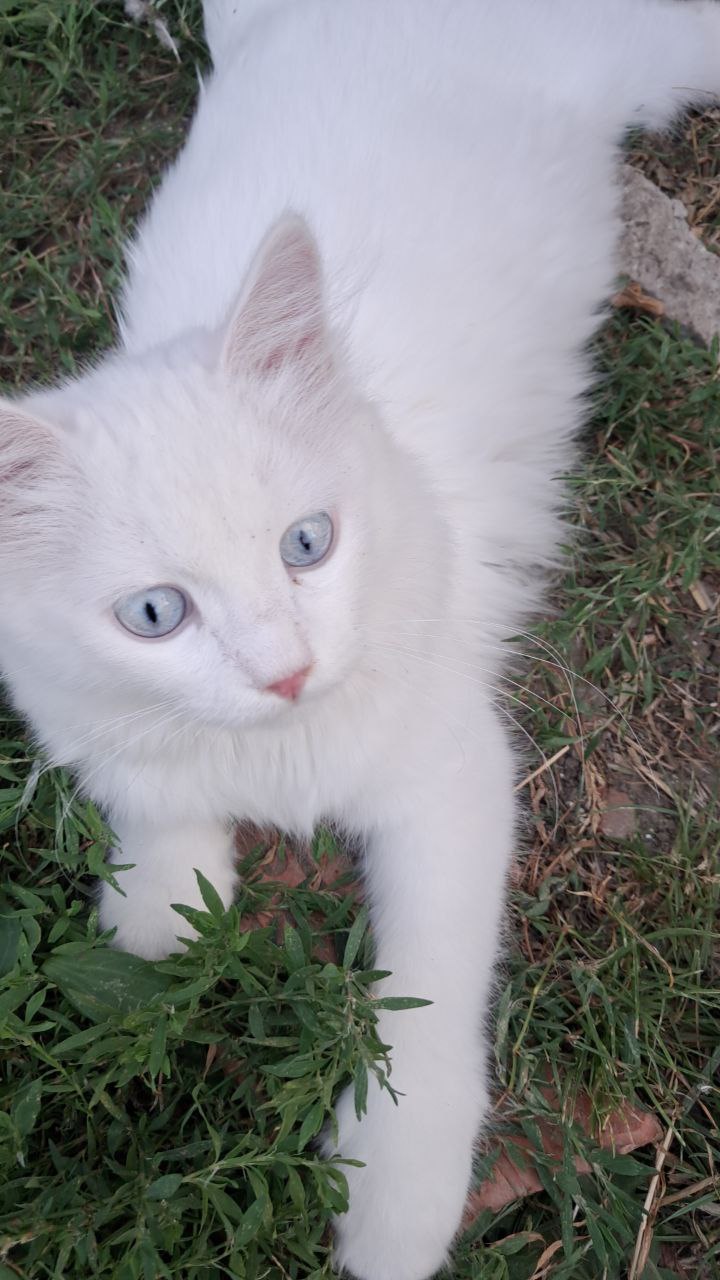 Доброе утро, Кубань!. Краснодар +18 °С Доброе утро, Кубань!. Краснодар +18 °С