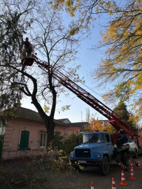 Рубрика «Ейск сегодня. Дела житейские»