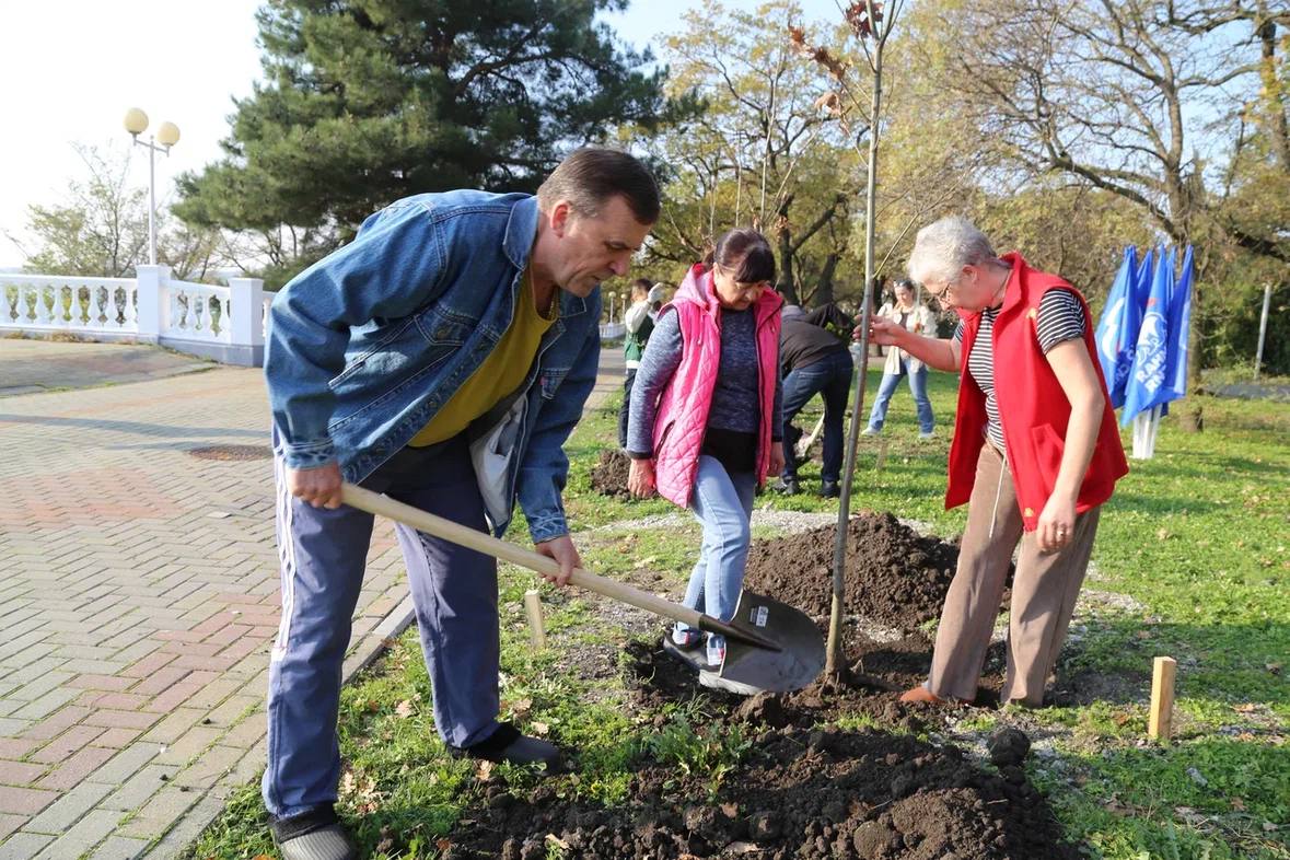 Зеленый Геленджик. На городской набережной, у памятника морякам-торпедникам, состоялась закладка новой аллеи Зеленый Геленджик. На городской набережной, у памятника морякам-торпедникам, состоялась закладка новой аллеи