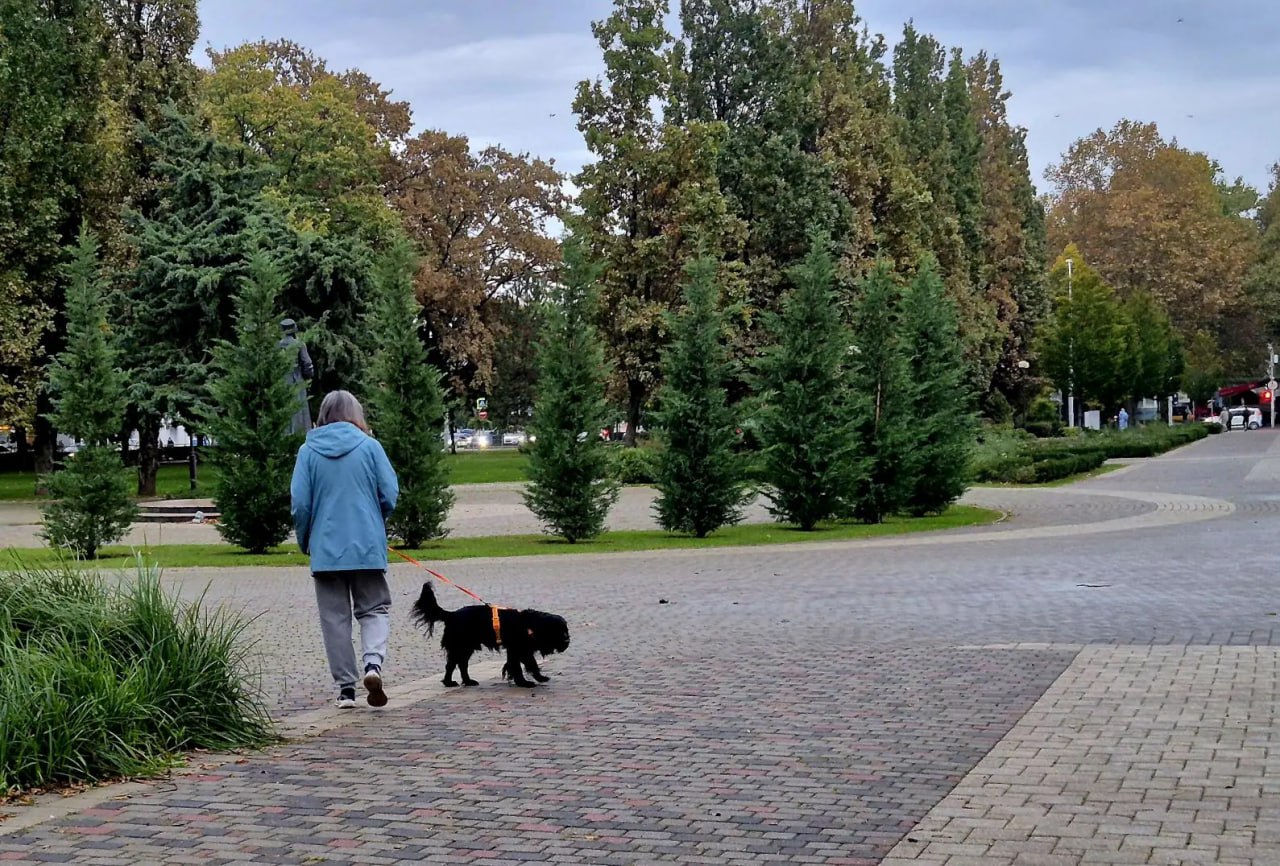 А вы гуляли по бульвару у кинотеатра «Аврора»? А вы гуляли по бульвару у кинотеатра «Аврора»?