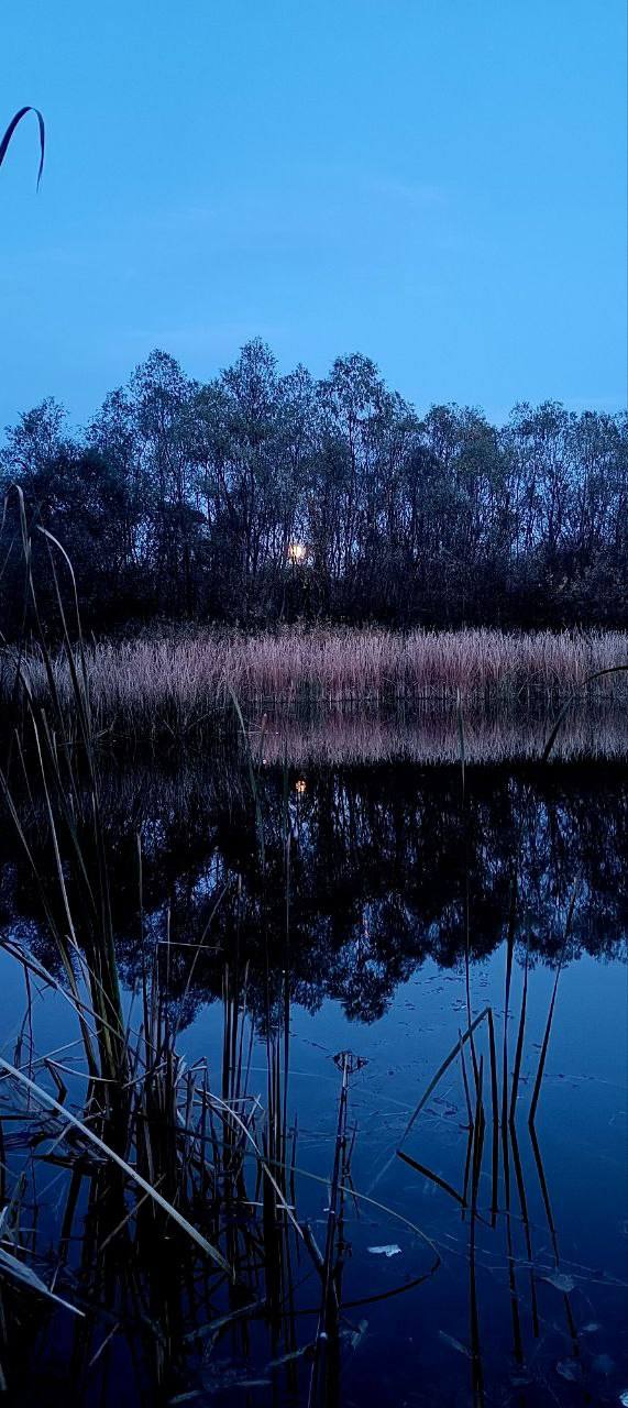 О погоде на 17 ноября. В Краснодарском крае переменная облачность О погоде на 17 ноября. В Краснодарском крае переменная облачность