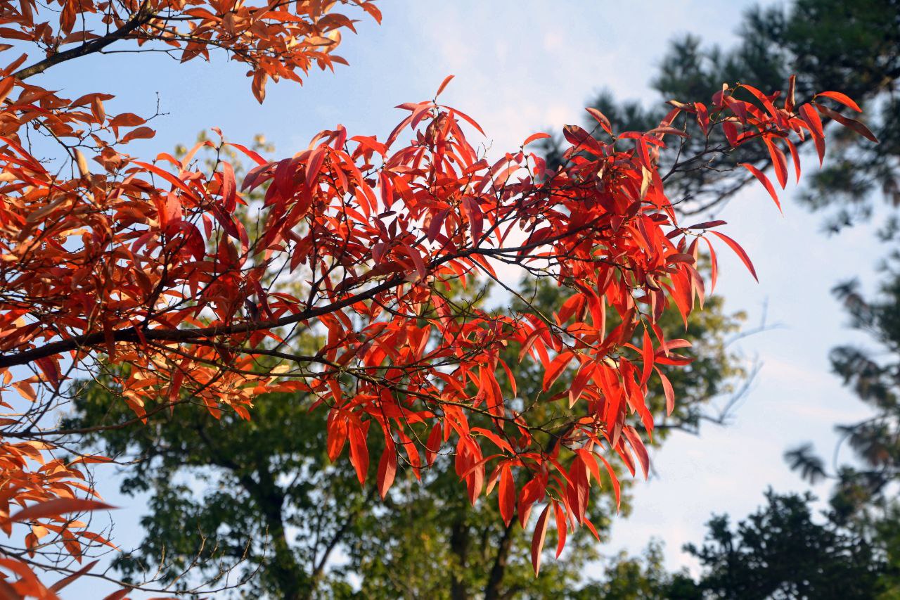 Доброе утро, любимый город Сочи!