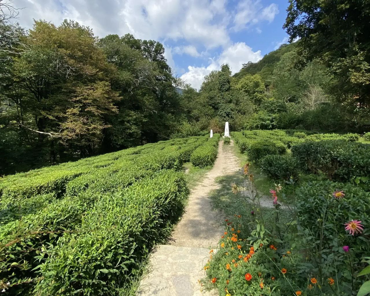 В Сочи разработали новый маршрут для познавательного туризма В Сочи разработали новый маршрут для познавательного туризма