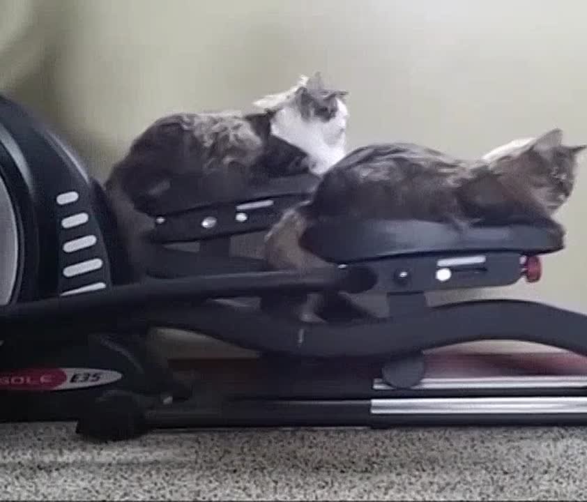 Краснодарский край попал в топ-6 регионов России по популярности здорового образа жизни