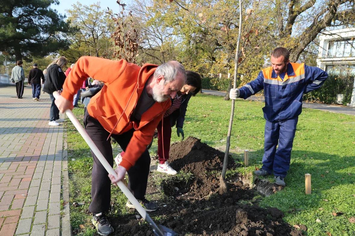 Зеленый Геленджик. На городской набережной, у памятника морякам-торпедникам, состоялась закладка новой аллеи Зеленый Геленджик. На городской набережной, у памятника морякам-торпедникам, состоялась закладка новой аллеи
