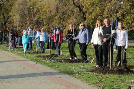 Зеленый Геленджик. На городской набережной, у памятника морякам-торпедникам, состоялась закладка новой аллеи