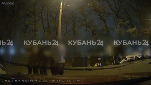 Пробили череп возле бара: участников драки в Краснодаре ищут полицейские