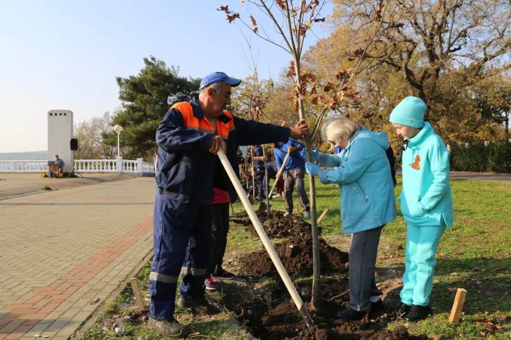 Зеленый Геленджик. На городской набережной, у памятника морякам-торпедникам, состоялась закладка новой аллеи Зеленый Геленджик. На городской набережной, у памятника морякам-торпедникам, состоялась закладка новой аллеи