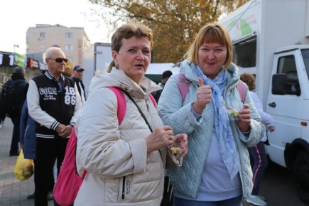 Сырная дегустация и свежие продукты на ярмарке