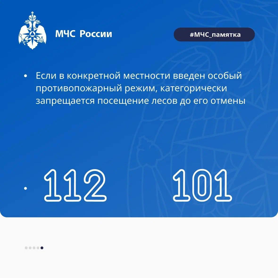 Не забывай: безопасность в лесу – ответственность каждого! Не забывай: безопасность в лесу – ответственность каждого!