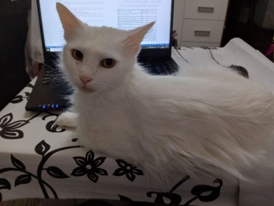 Доброе утро, Кубань!. Краснодар +20 °С