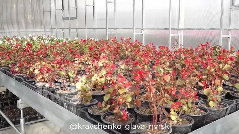 Андрей Кравченко: Сегодня в фокусе внимания Приморский внутригородской район: