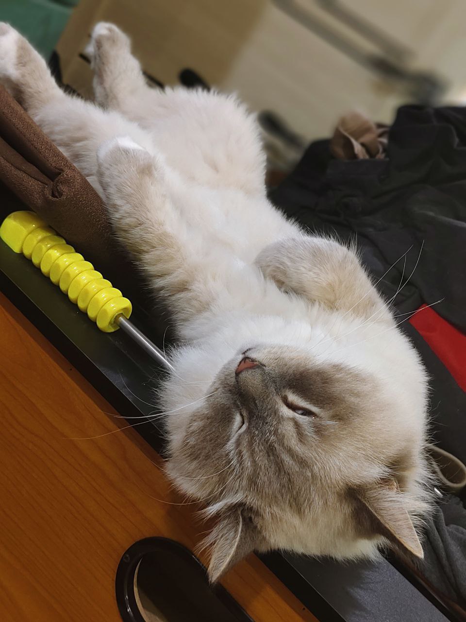 Доброе утро, Кубань!. Краснодар +20 °С Доброе утро, Кубань!. Краснодар +20 °С