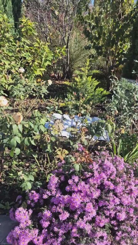 Сегодня обещают пасмурный, но тёплый день