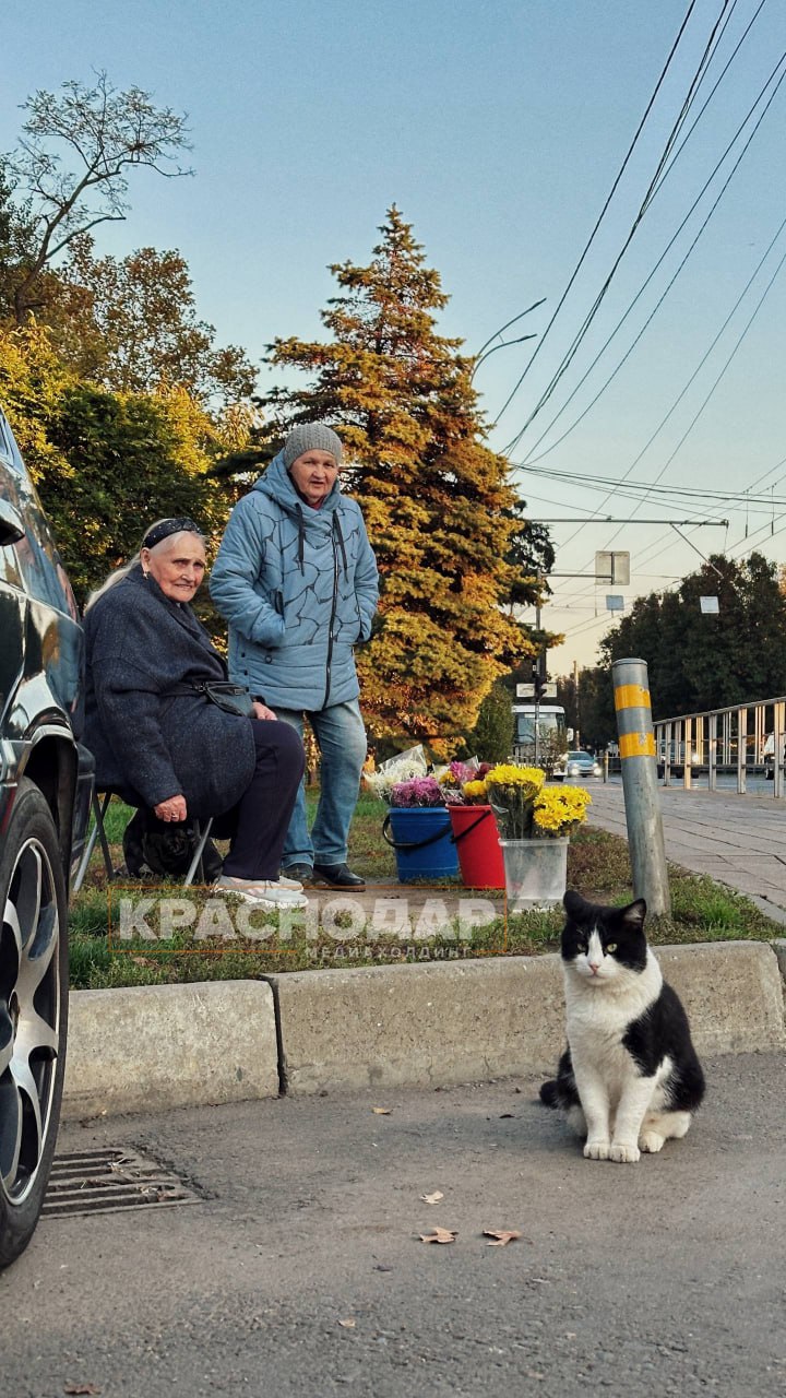 Продолжаем нашу ежедневную рубрику «Краснокадр»