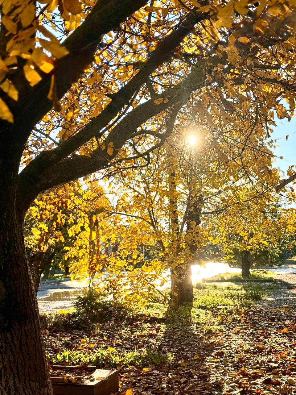 Доброе утро!. Сегодня, 19 ноября 2025 года, среда — идеальный день, чтобы сделать шаг к давно задуманному
