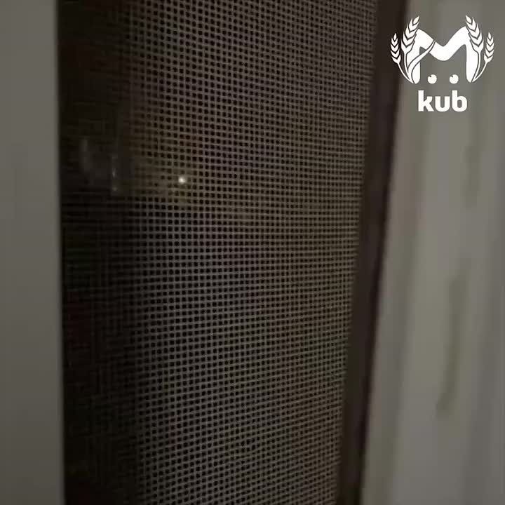 Жители Славянска-на-Кубани сообщают о сиренах в городе