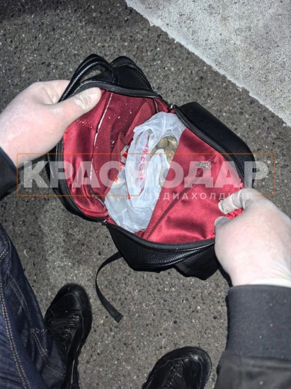 Наркодилер замаскировал под камни запрещенные капсулы