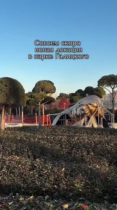 Гигантскую голову привезли в парк Галицкого