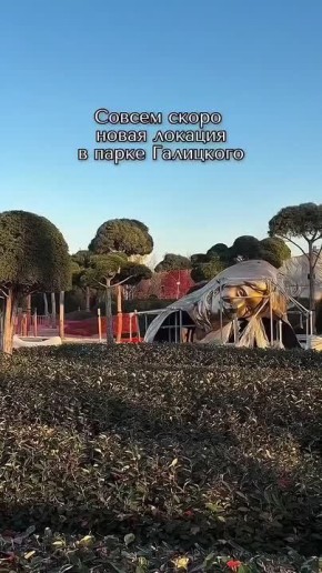 Гигантскую голову привезли в парк Галицкого