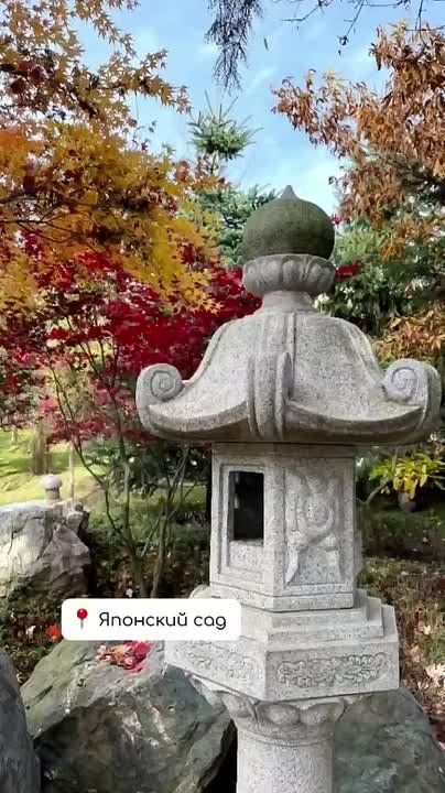 В разгар сезона момидзи белочки продолжают запасаться