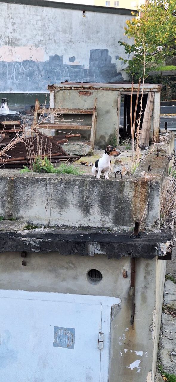 Спасатели продолжают творить добро