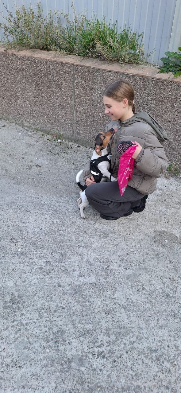 Спасатели продолжают творить добро Спасатели продолжают творить добро