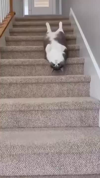 Коротко о желании админа идти на работу в середине недели