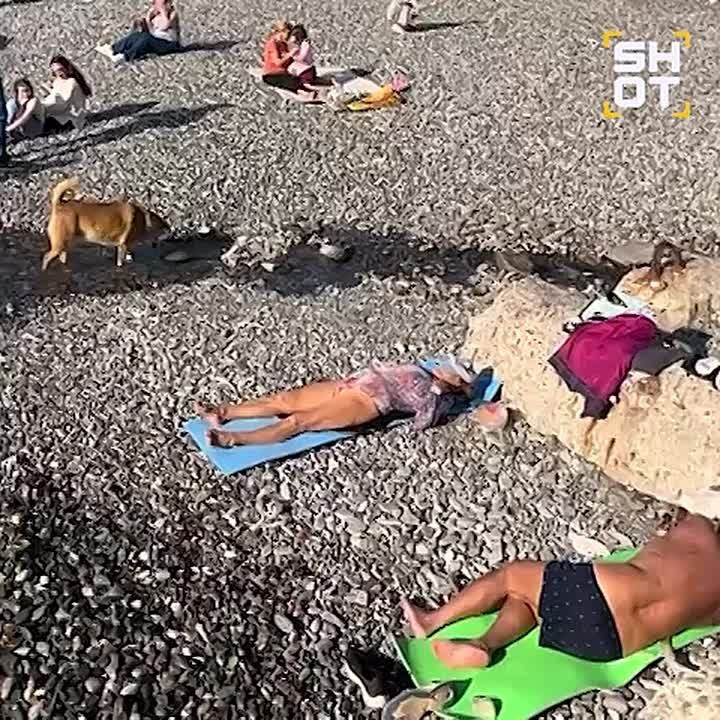 Обстановка в Сочи в конце ноября