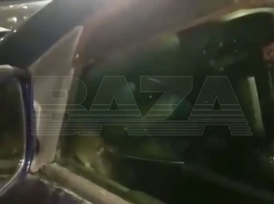 С наступлением холодов крысы массово атакуют автомобили россиян