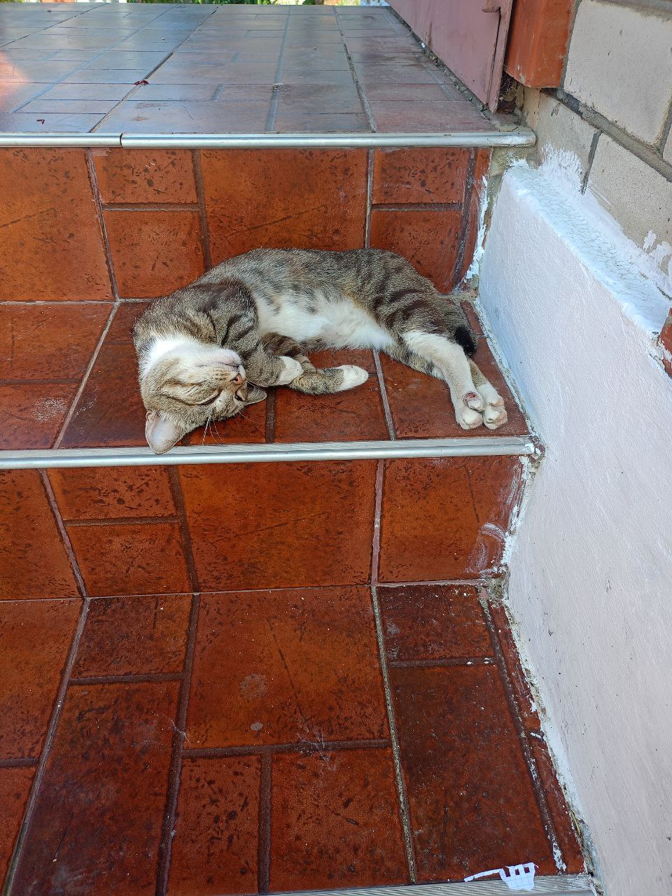 Доброе утро, Кубань!. Краснодар +18 °С Доброе утро, Кубань!. Краснодар +18 °С