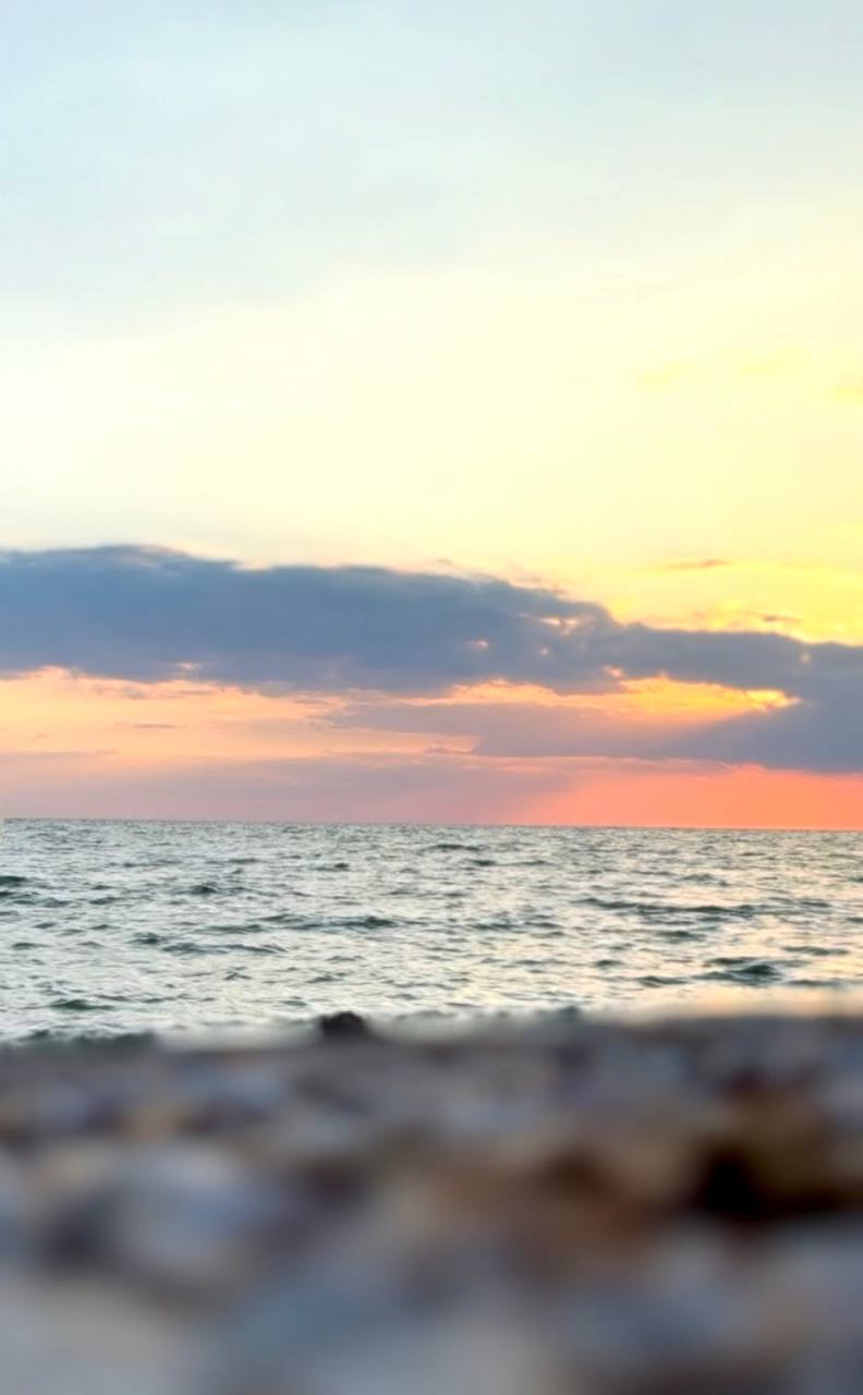 Доброе утро!. Сегодня, 20 ноября 2025 года, четверг — время действовать! Пусть этот день станет ступенью к вашим целям