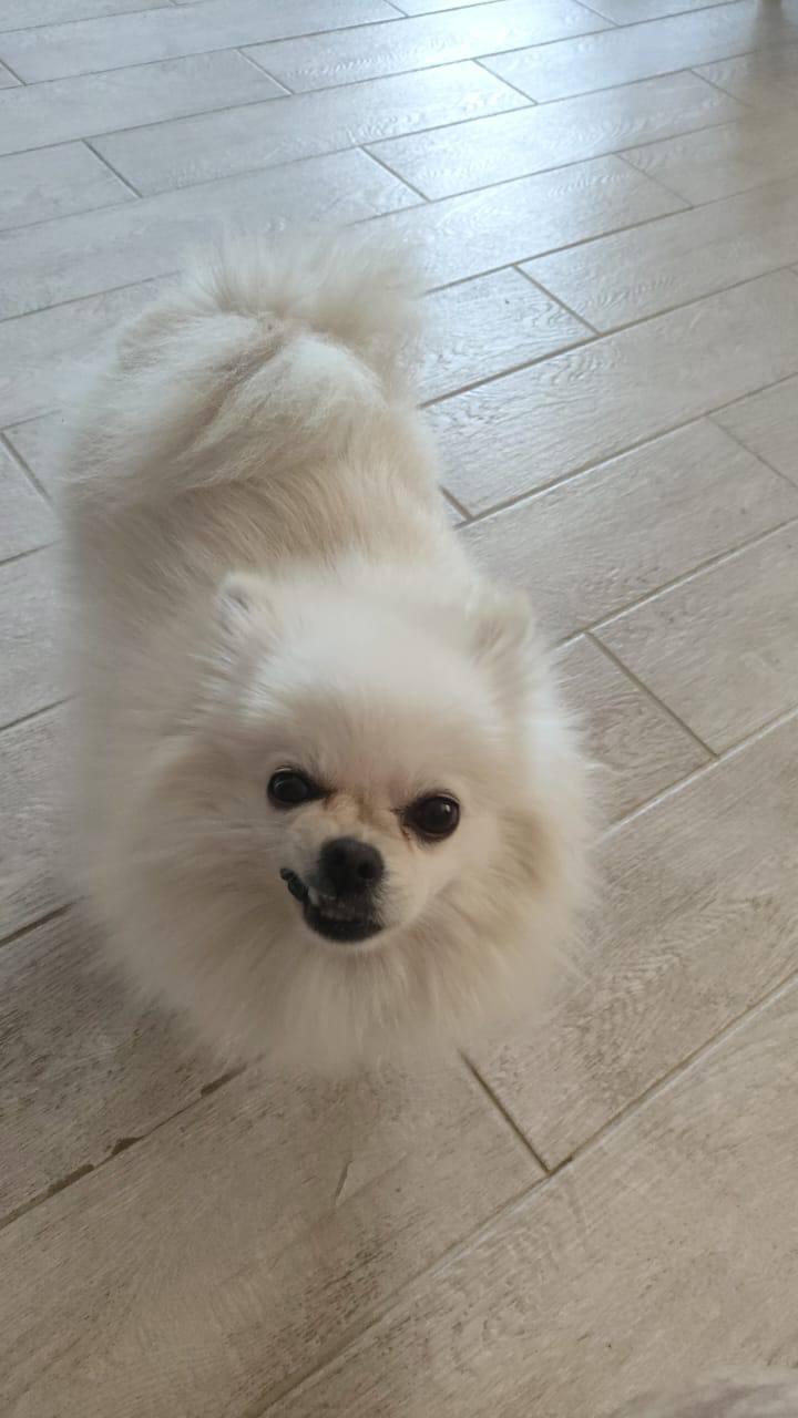 Доброе утро, Кубань!. Краснодар +18 °С Доброе утро, Кубань!. Краснодар +18 °С