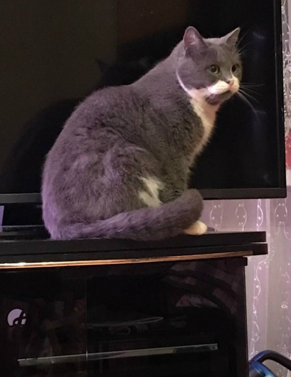 Доброе утро, Кубань!. Краснодар +18 °С Доброе утро, Кубань!. Краснодар +18 °С