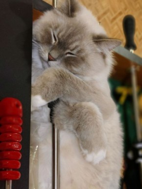 Доброе утро, Кубань!. Краснодар +18 °С