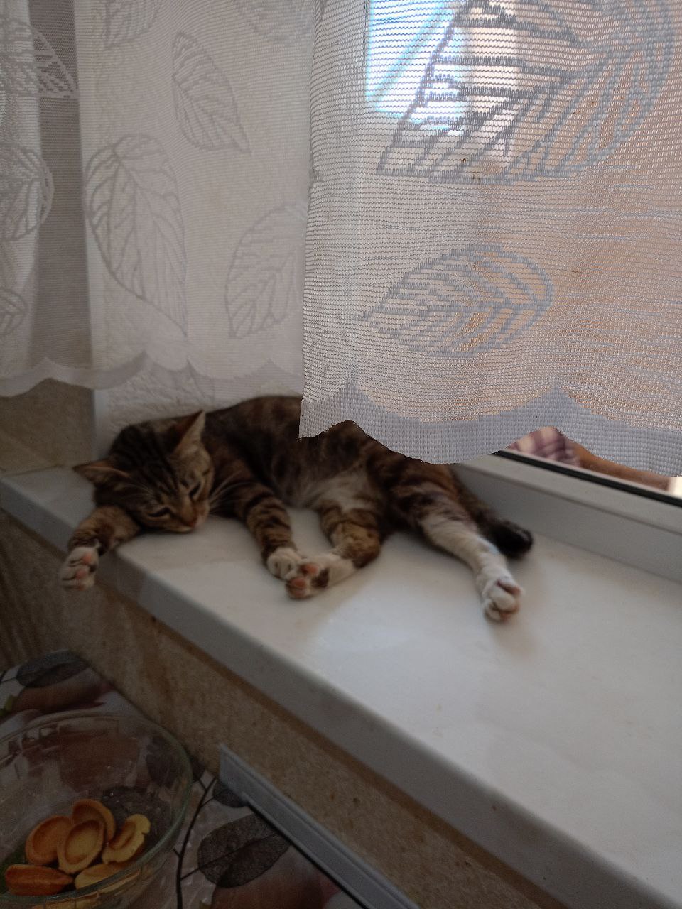 Доброе утро, Кубань!. Краснодар +18 °С Доброе утро, Кубань!. Краснодар +18 °С