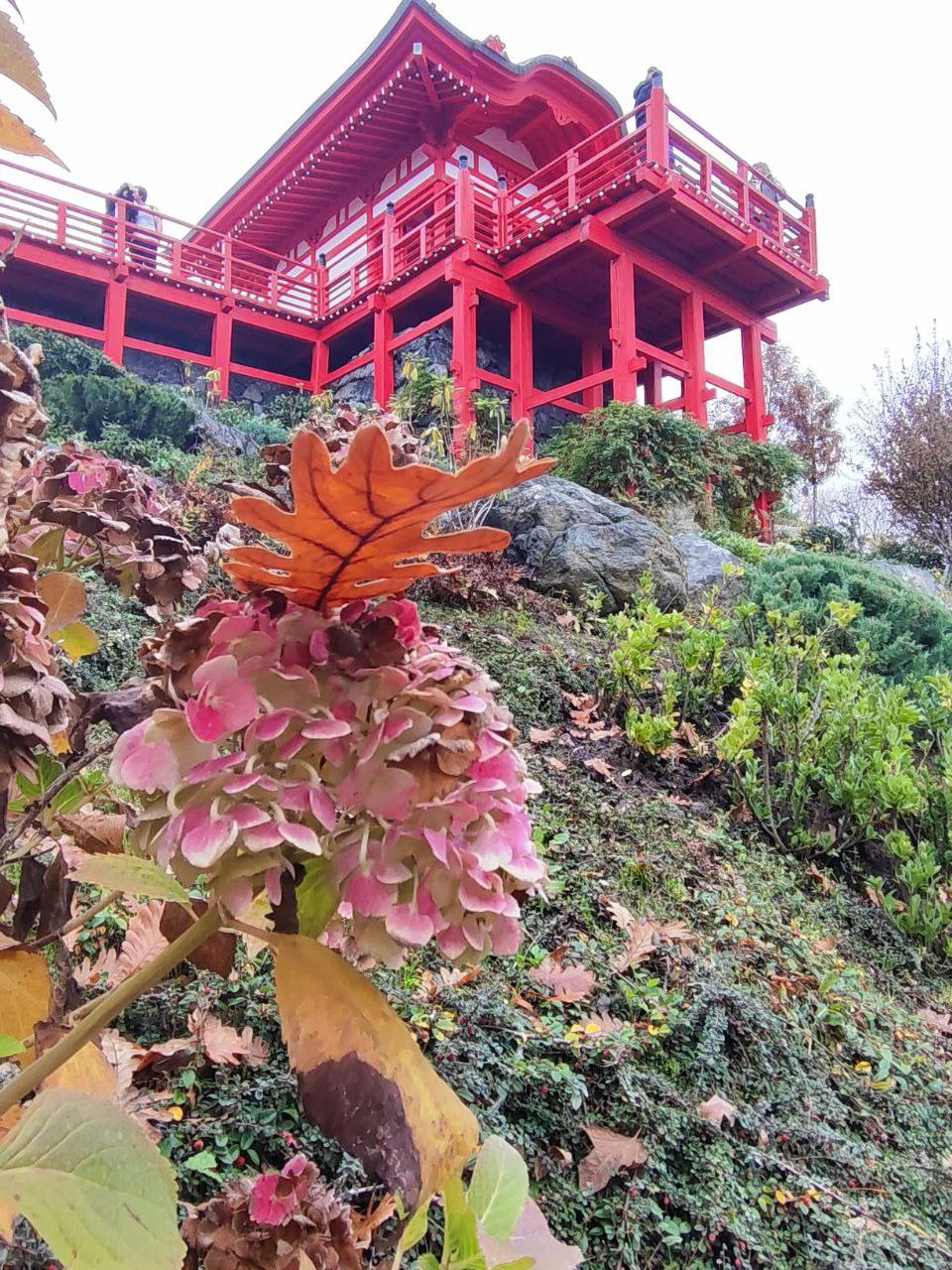 Парк «Краснодар» занял первую строчку в рейтинге самых знаковых парков России Парк «Краснодар» занял первую строчку в рейтинге самых знаковых парков России