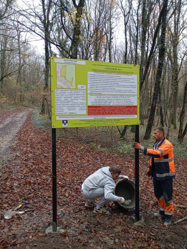 Благодаря принятым мерам прокуратуры города Геленджика устранены нарушения природоохранного законодательства