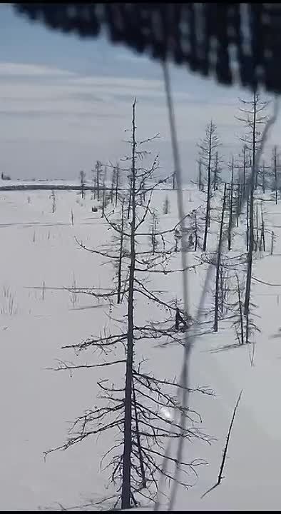 ������ �������� ������ ������������ ������