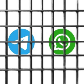   ,     Telegram  WhatsApp*  