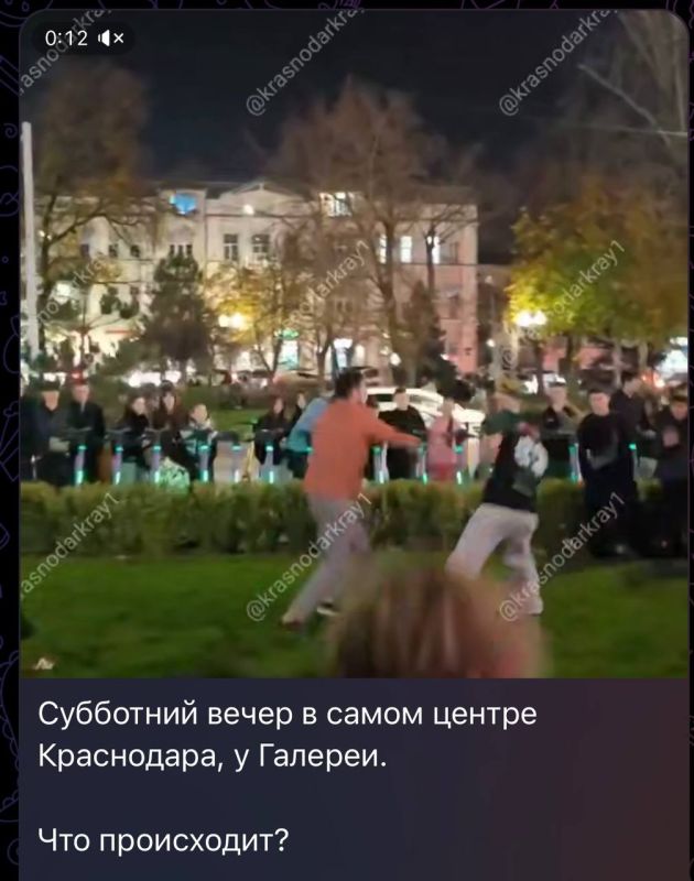 Полицией Краснодара инициирована доследственная проверка по факту драки граждан на улице Красной